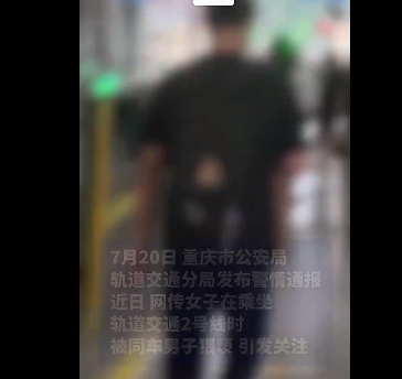 男子轨道列车上猥亵妇女被抓，警方通报