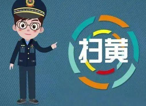夜上海：警方扫黄，小区抓获楼凤失足女数人