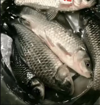 夜上海：男子假借钓鱼之名外出夜店寻欢