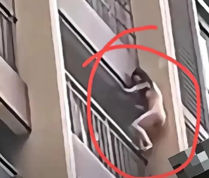 夜上海论坛：女子上门服务被发现L体爬窗离开