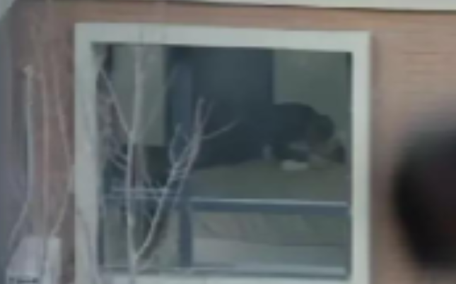 女销售员在毛坯房内上演“业绩转换”