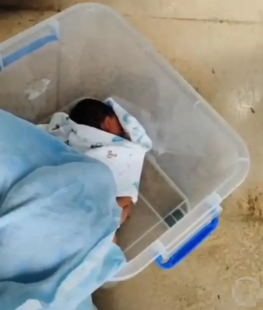 湛江一垃圾桶发现男婴被遗弃