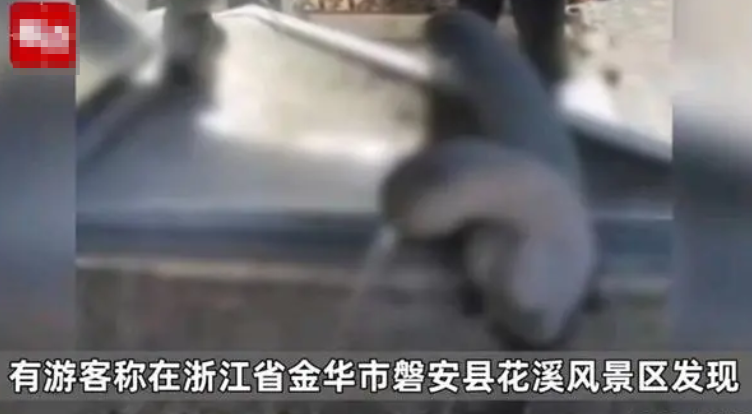 金华市景区水龙头不雅样式被游客举报