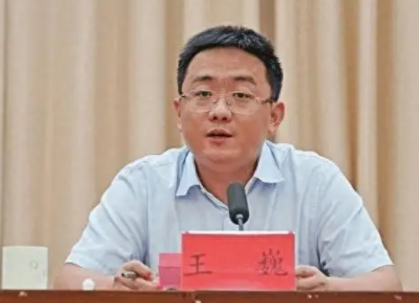 80后广东某地副市长王巍，被双规