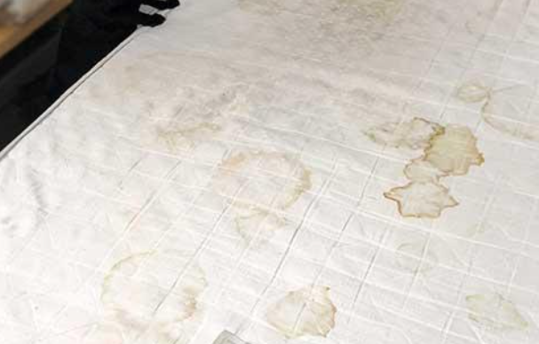 养生店的床单到底有多脏？惊呼你的想象！