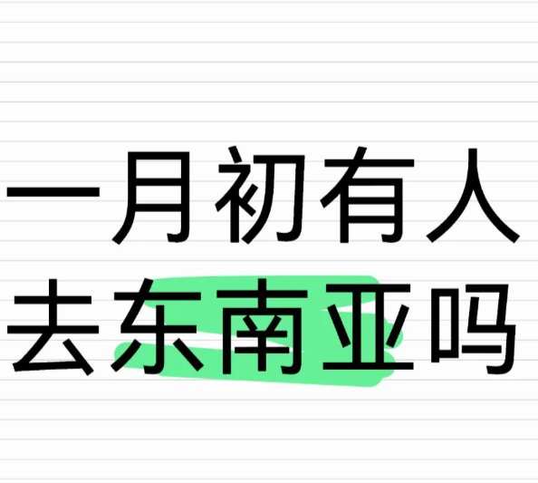 一月份找人做搭子，东南亚旅游