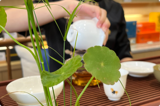 上海人品茶的方法为何与众不同？