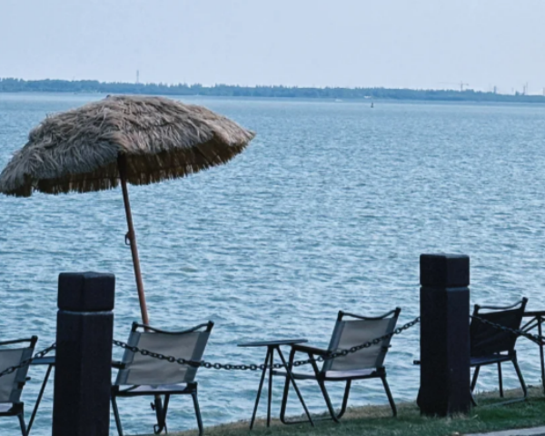 霓虹背后的暗流：上海"后花园"的隐秘浮世绘