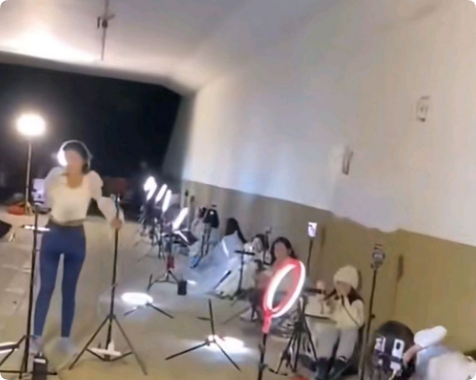 网红主播的乱象：当真实被脚本消解​