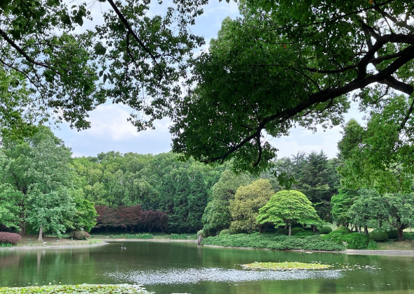 上海后花园：精英男士对城市生活标准的定义